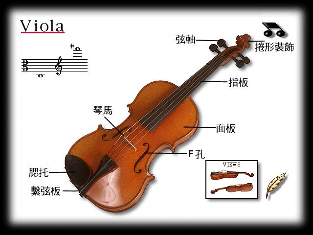 Viola Components Music World